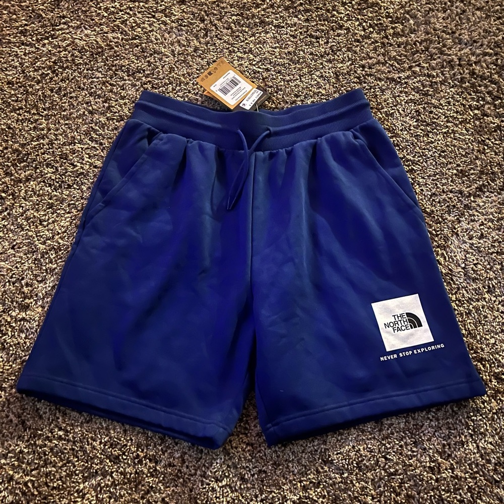 Mens north face shorts